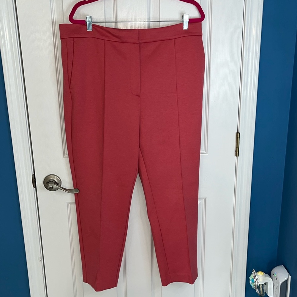 Ann Taylor pants size 16